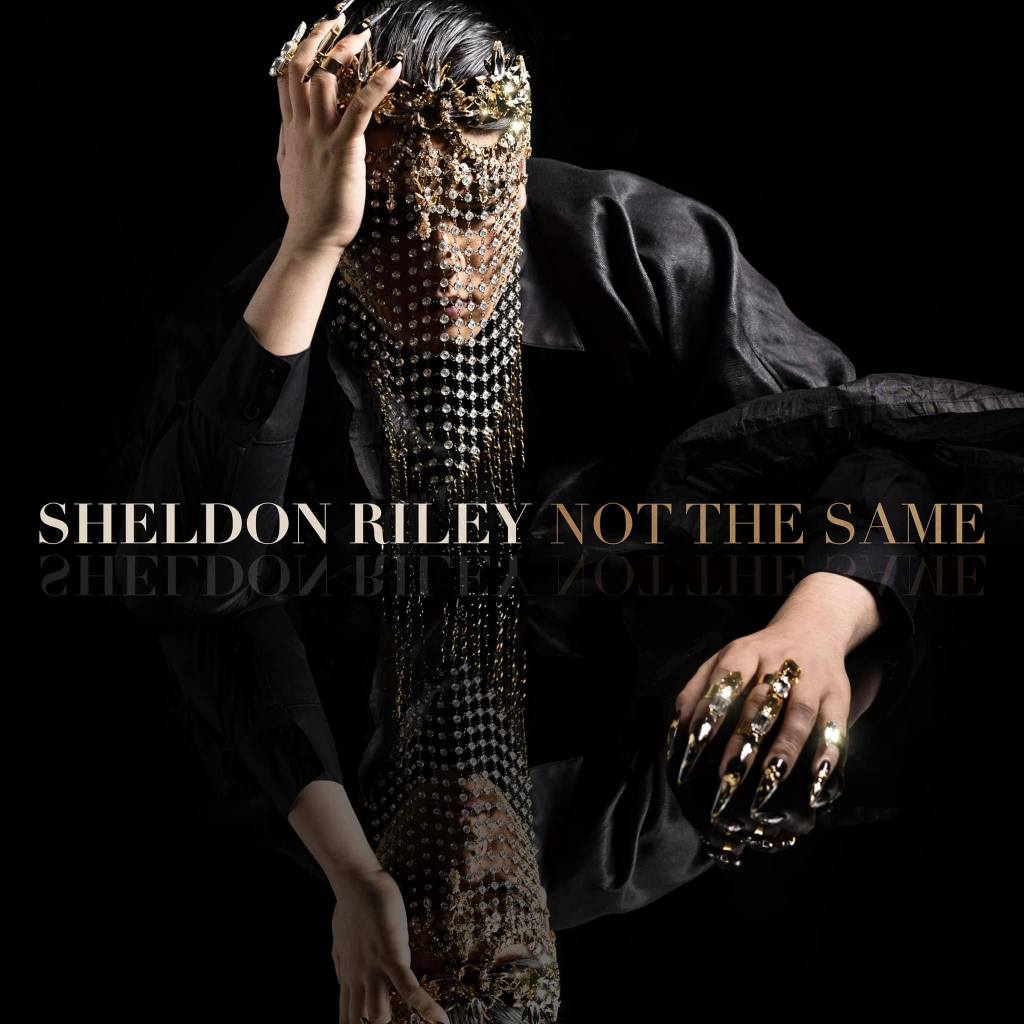 Eurovision 2022: Sheldon Riley – Not The Same Review - Vimarsana News