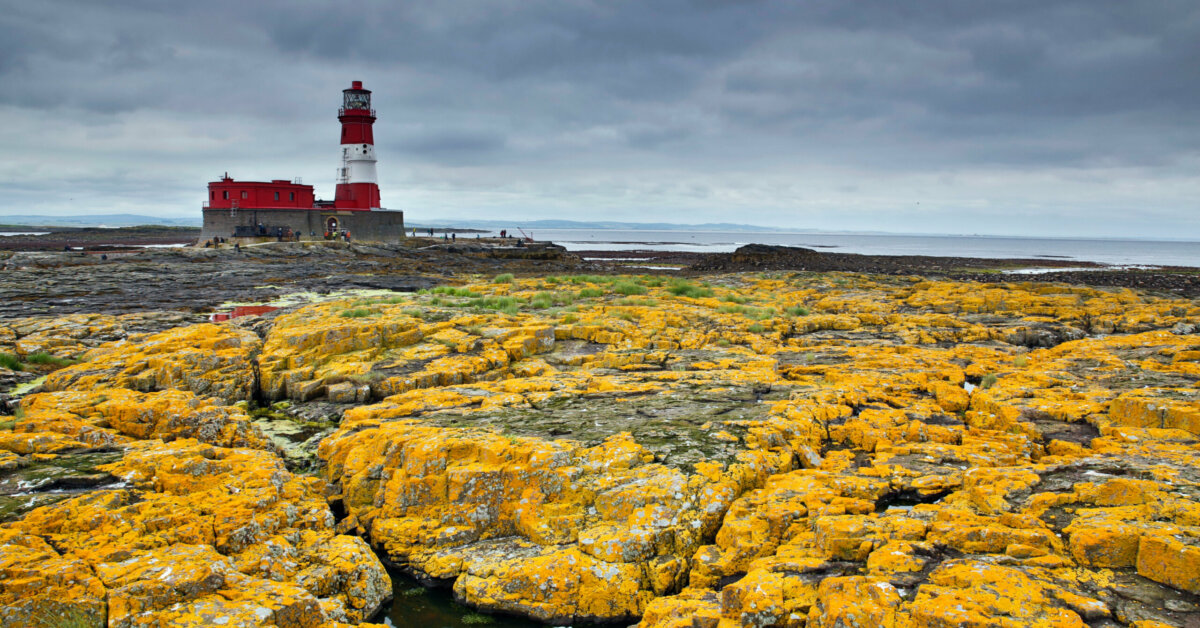 National Trust places restrictions on the Farne Islands due to… – Spark Sunderland - Vimarsana News