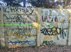 A wall in Hetton Lyons before an arts project